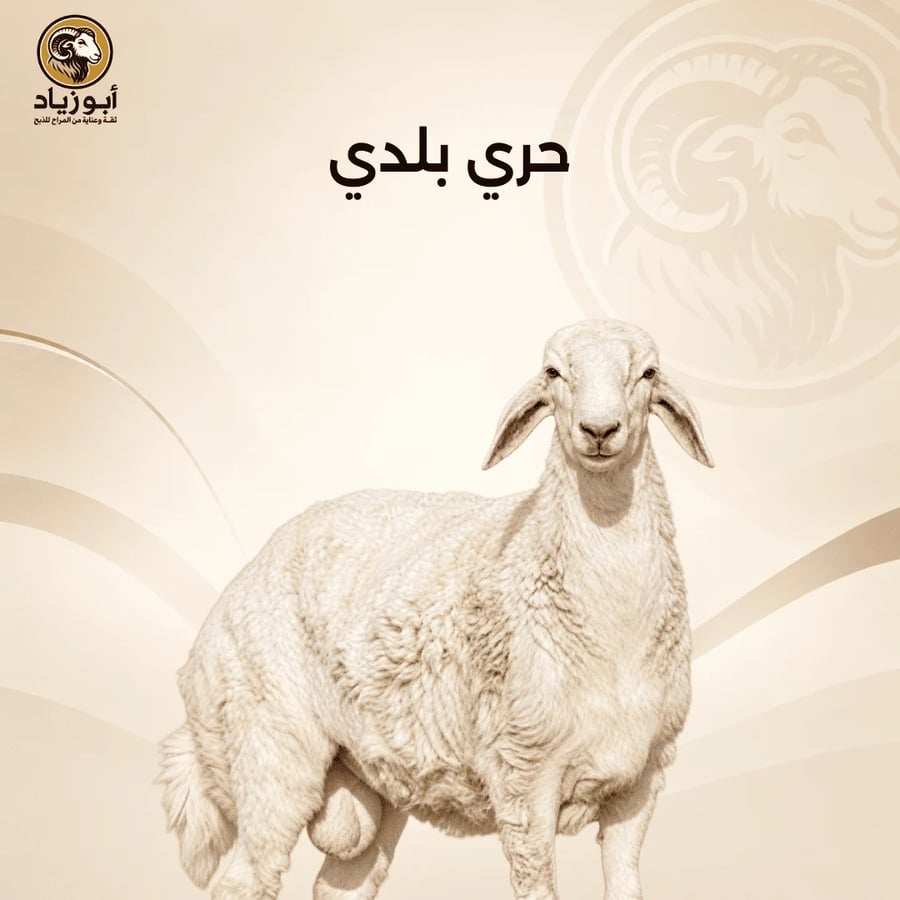 حري بلدي