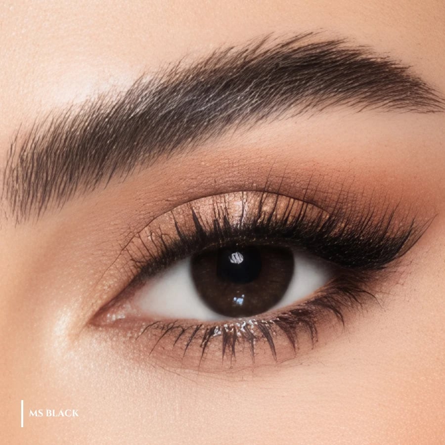 عدسات مس بلاك MS Lens اليومية طبية للنظر