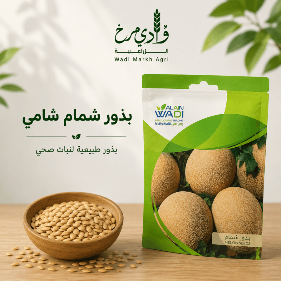 بذور شمام شامي