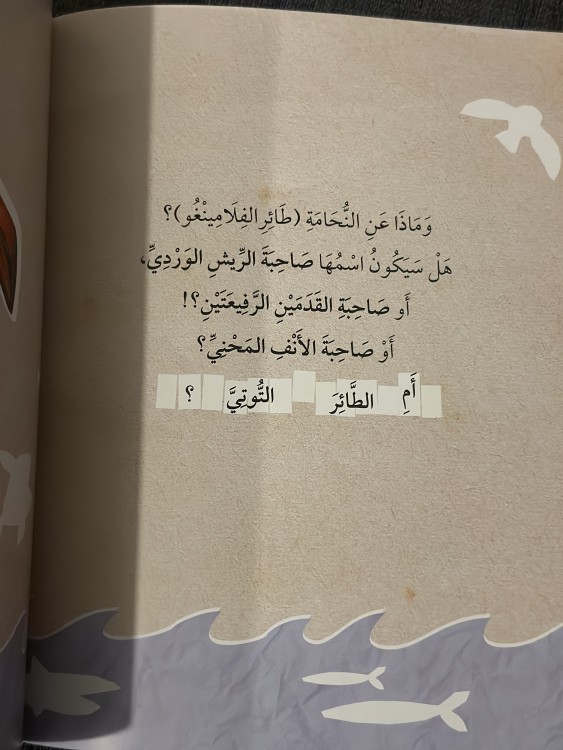 كتاب بلا عنوان