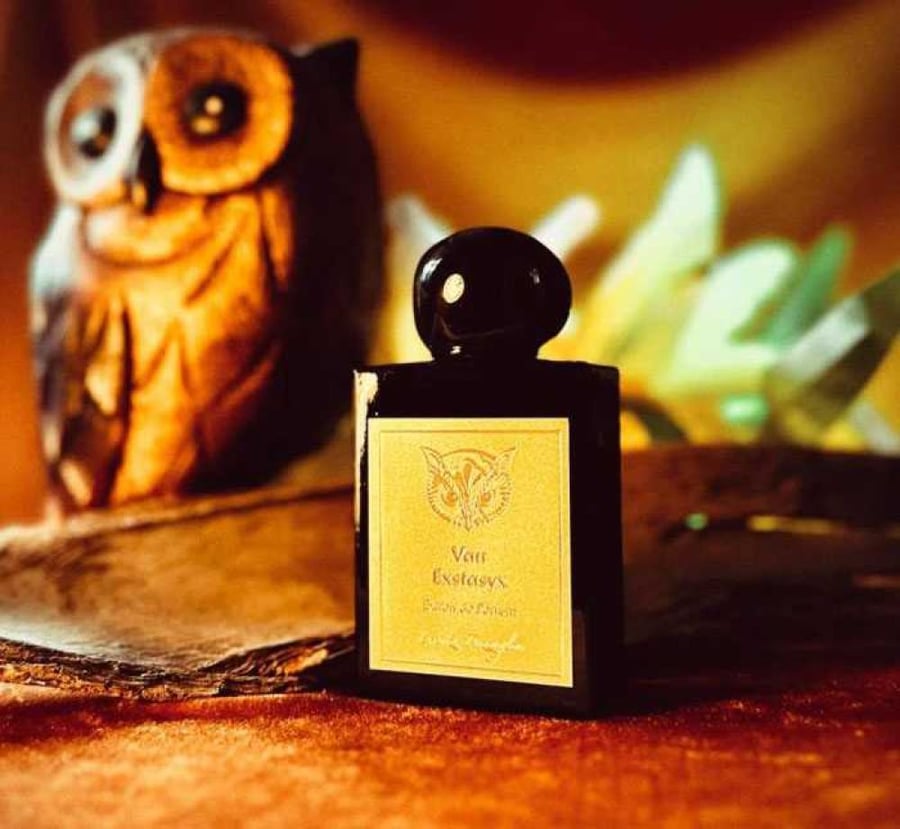 عطر فان إكستاسيكس للجنسين من لورينزو بازاليا إكستريت دو بارفان 50 مل