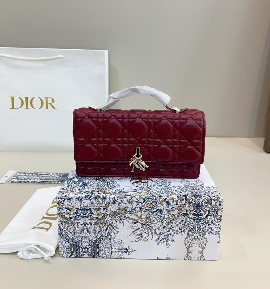 Dior bag