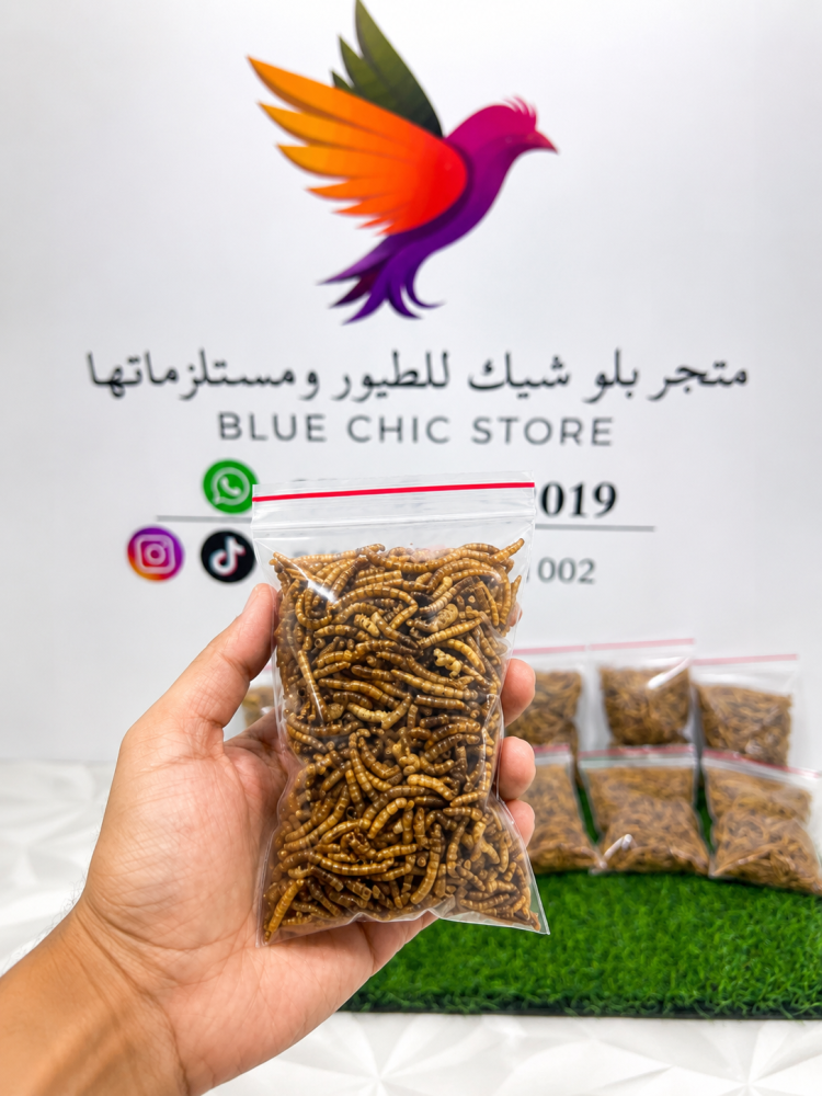 دود قبابي مجفف