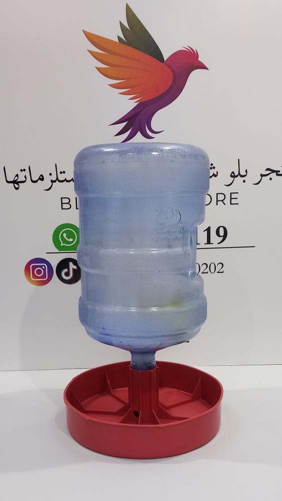 سقاية ماء لطيور