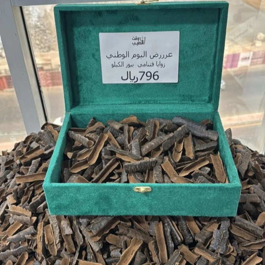 زوايا فتنامي بيور كيلو