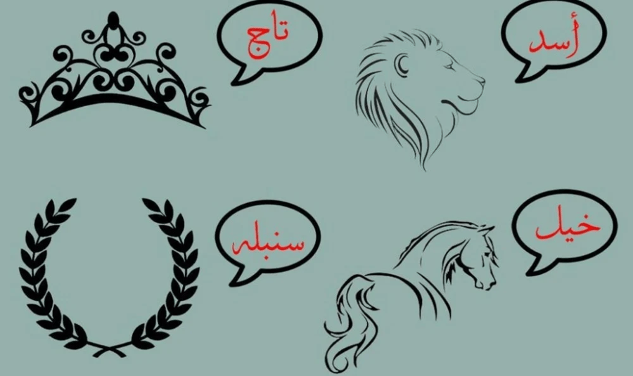 فروة بالاسم أنيقة ودافئة