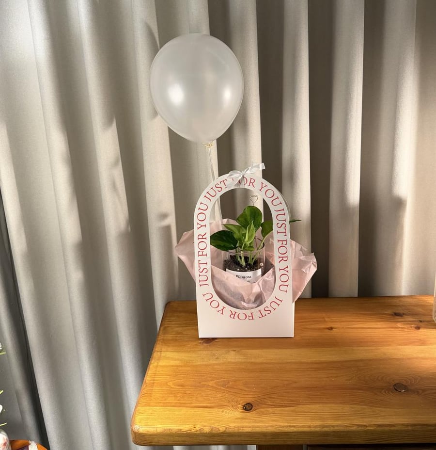 Plant Boots with balloon