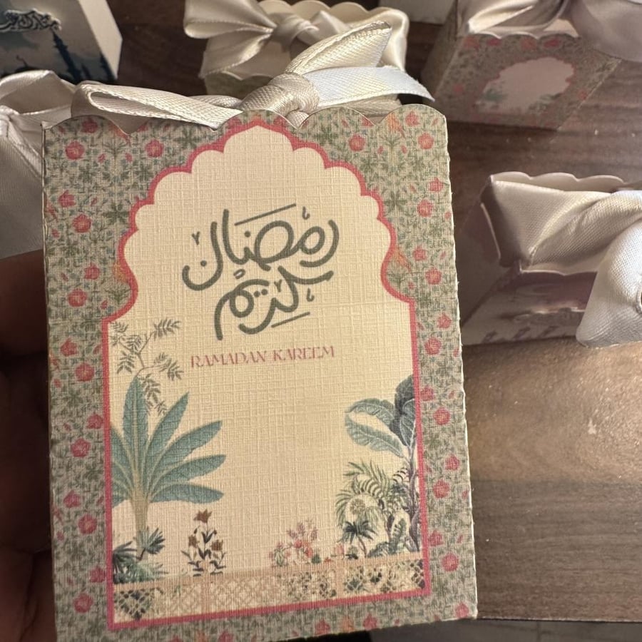 كيس ميني