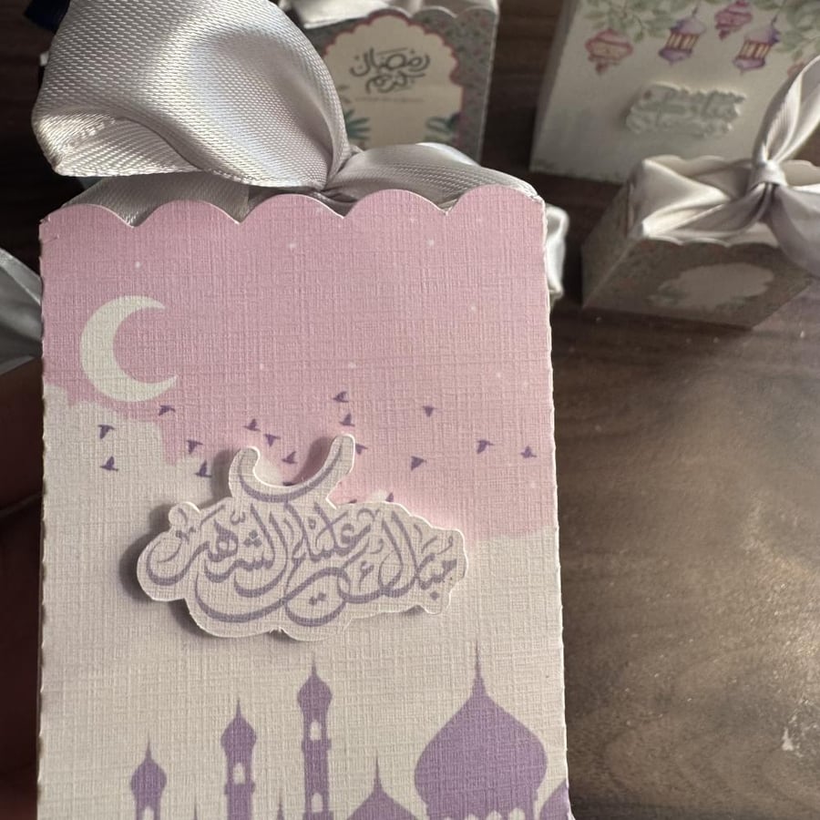كيس ميني