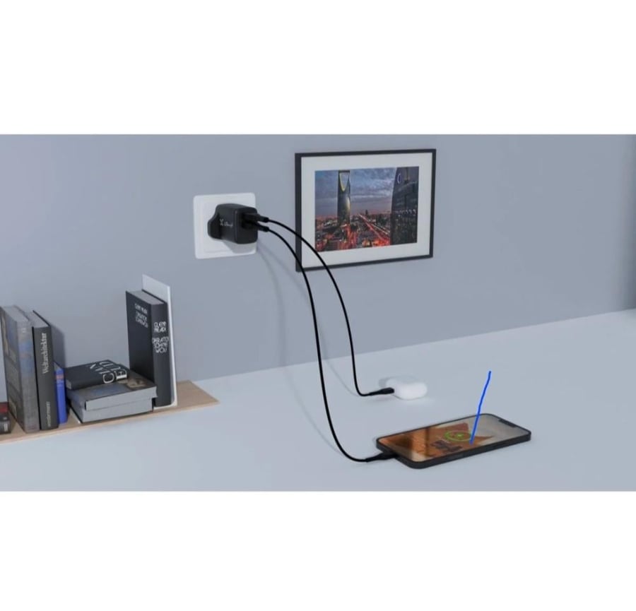 Lion X فيش شاحن جداري منفذ ثنائي - USB + TYPE C L مع 2 كيبل تايب سي -تايب سي + USB -LIGHTING