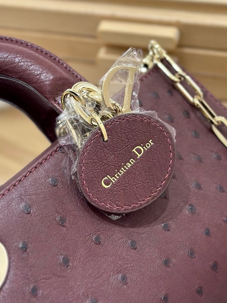 شنطة ديور D-joy مقاس 22cm