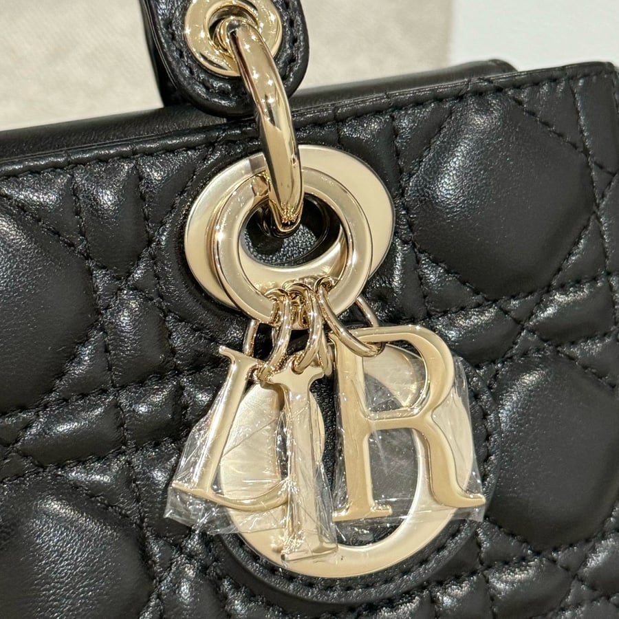 شنطة ديور D-joy مقاس 22cm