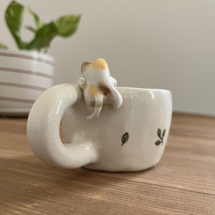 كوب القطط