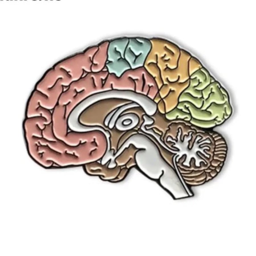 بروش Neurology عدد ٢