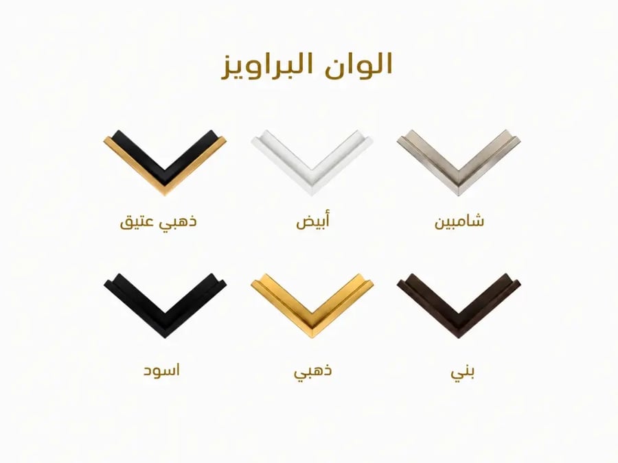 ألوان الإطارات