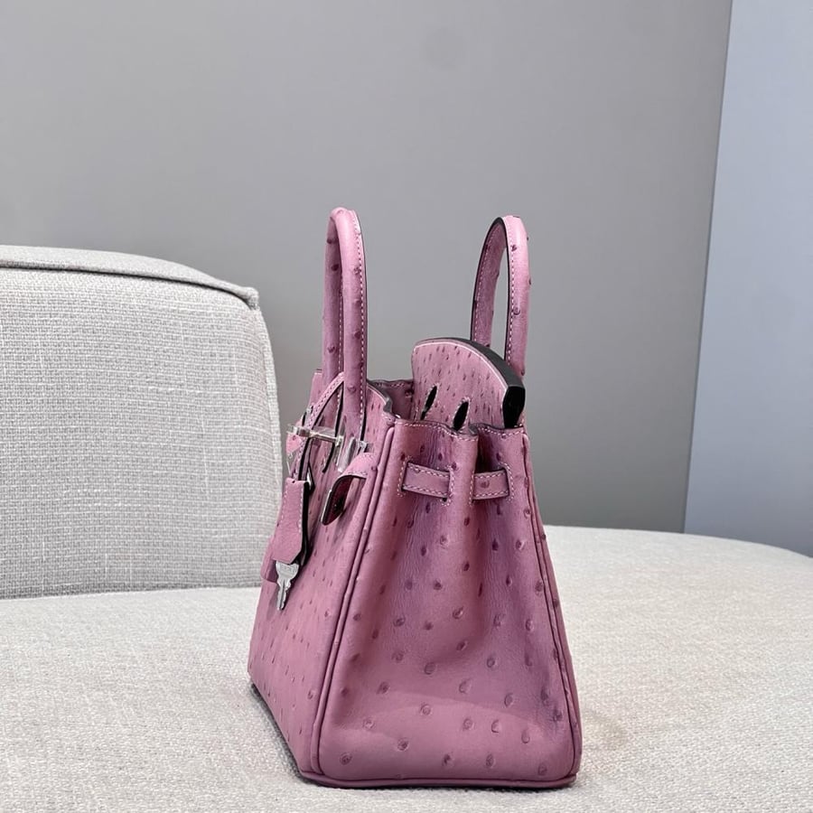 ايرميز Birkin مقاس 25cm
