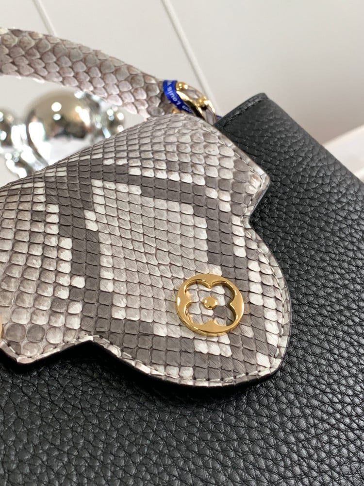 Louis Vuitton Mini Capseen 21cm