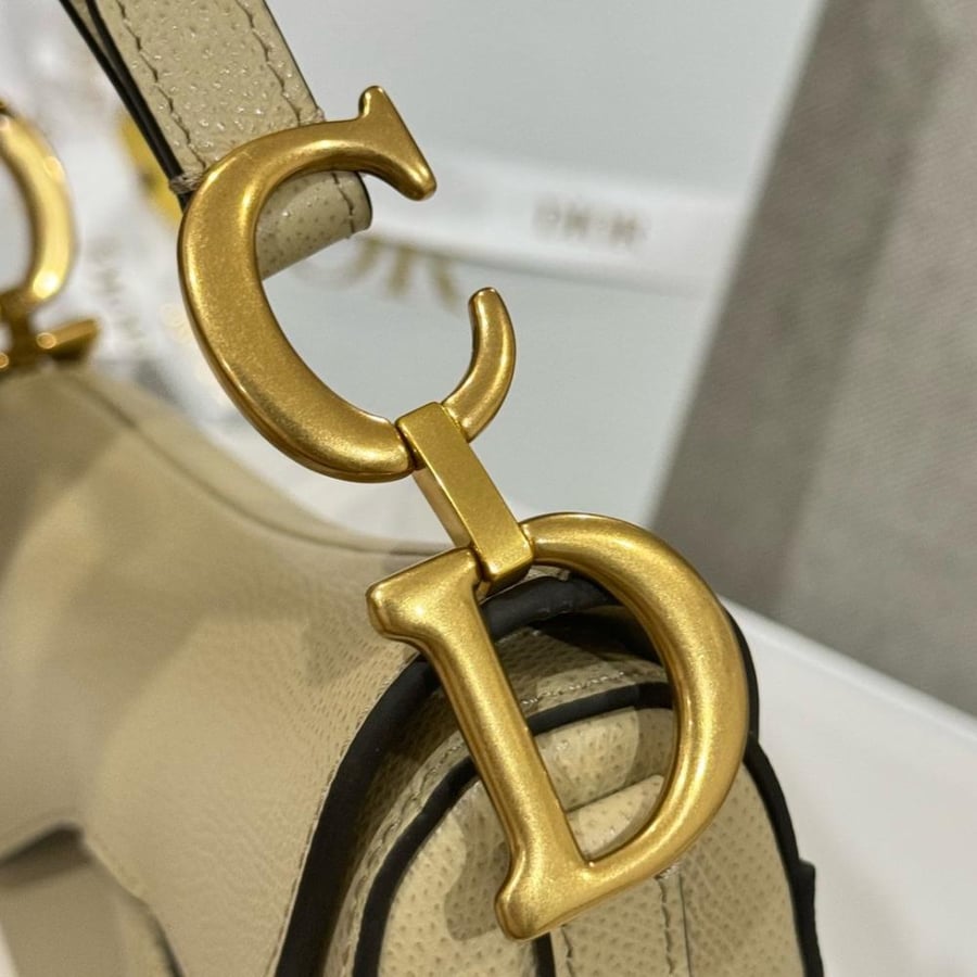 ديور سادل باق مقاس 19cm