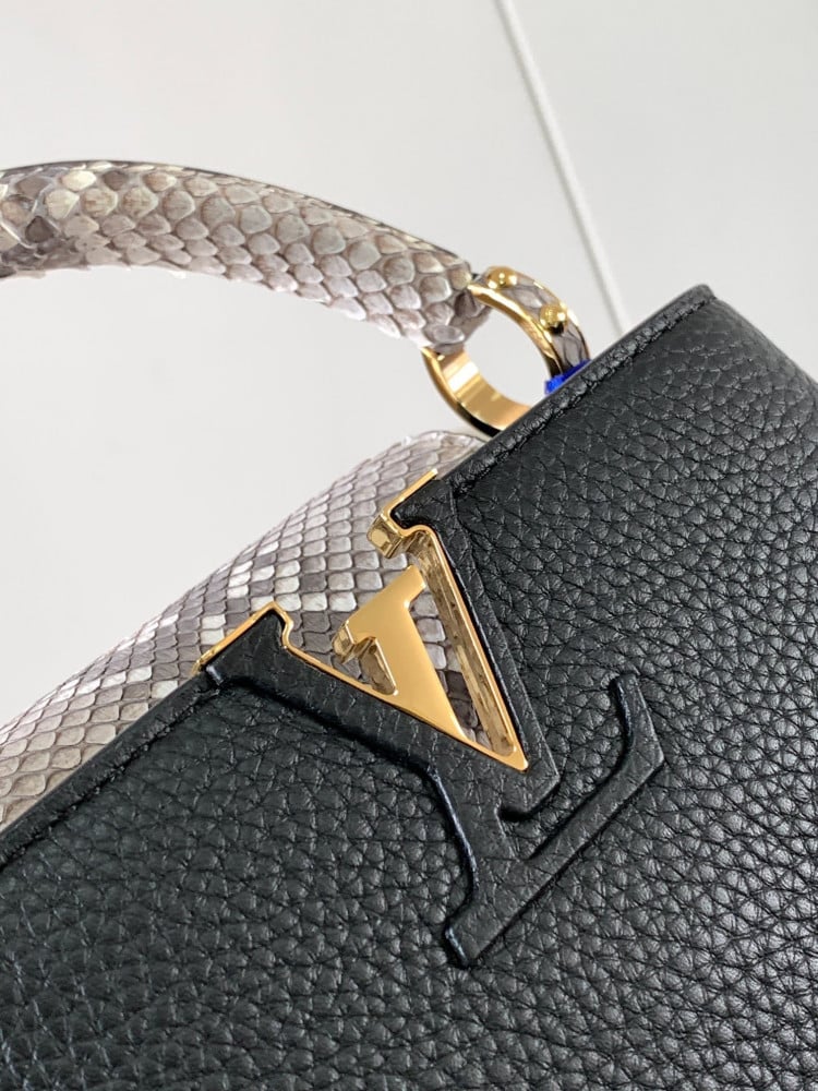 Louis Vuitton Mini Capseen 21cm
