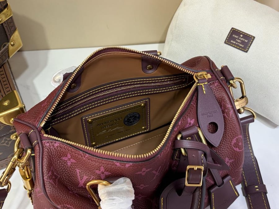 لوي فيتون SPEEDY P9 BANDOULIÈRE 25  مقاس 25cm