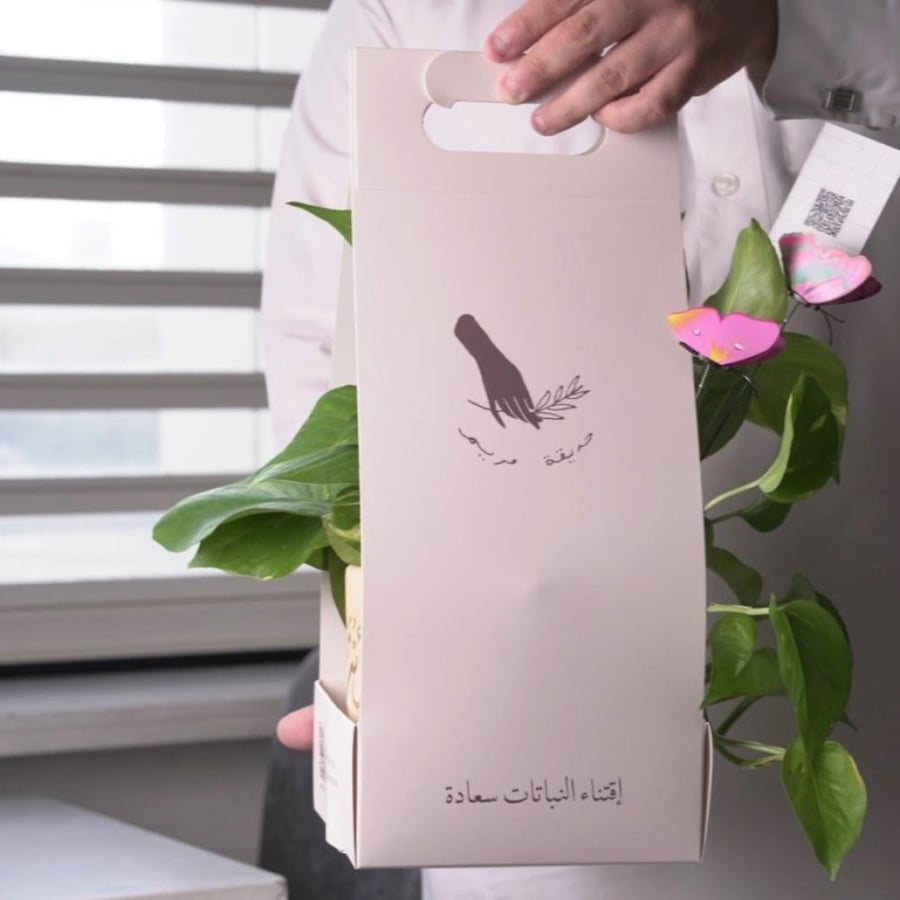 حوض كونكريت صغير بألوان مختلفة