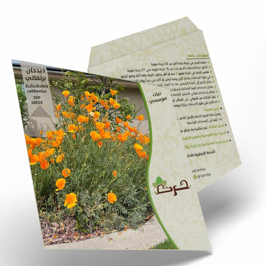 الديدحان البرتقالي   شقائق النعمان   500 بذرة  ديدحان كاليفورنيا Eschscholzia californica
