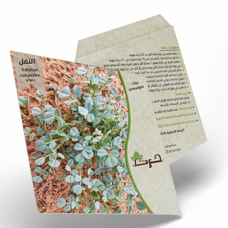 النفل بذور النفل Trifolium campestre