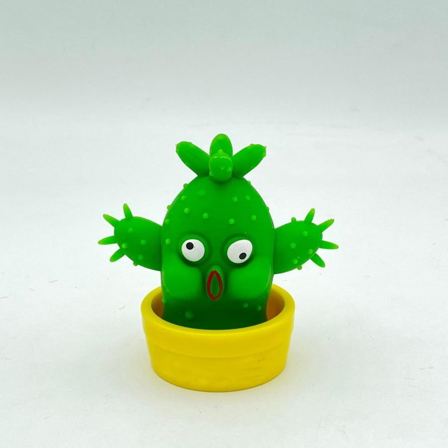 الصبار المطاطي Stretchy Cactus