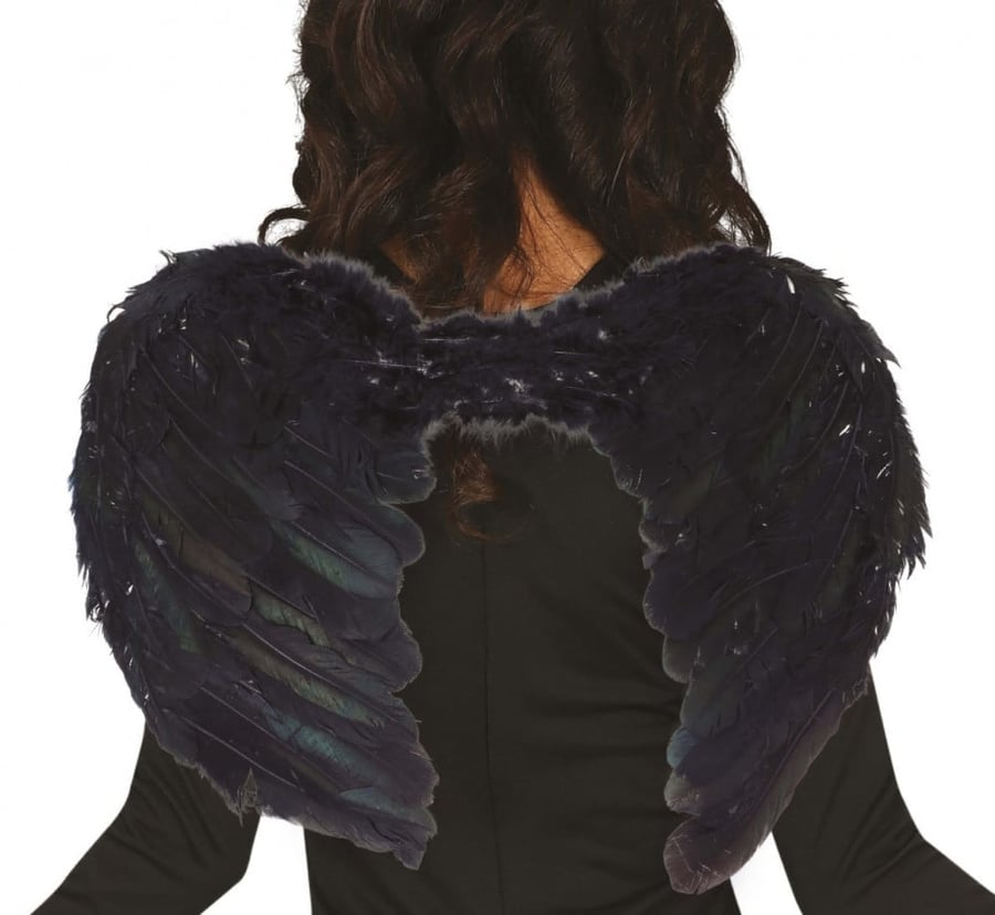 BLACK FEATHER WINGS, 50 CM (16266)