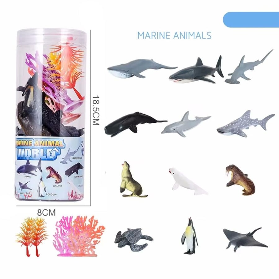 عالم الحيوانات البحرية Marine Animal World