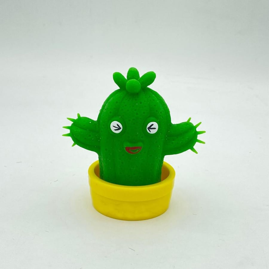 الصبار المطاطي Stretchy Cactus