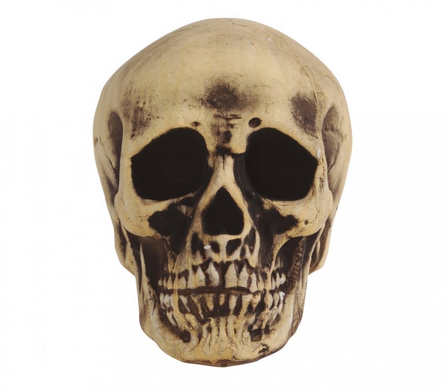 FOAM SKULL 22 CMS (26276)