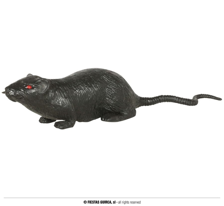 RAT 18 CMS. (24628)