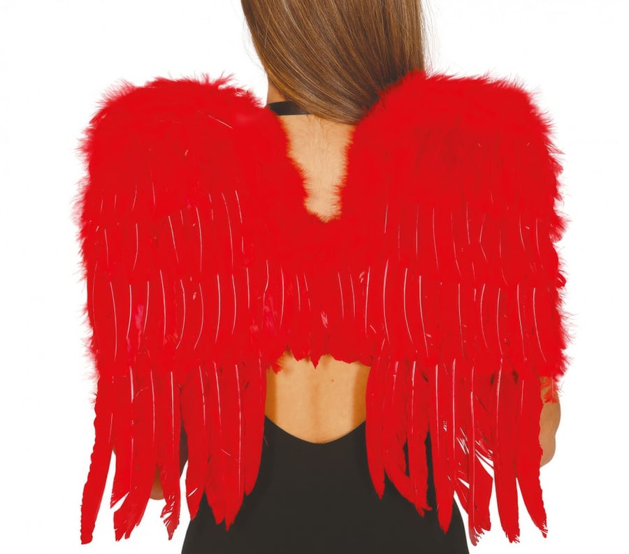 RED FEATHER WINGS, 50X40 CM (16265)
