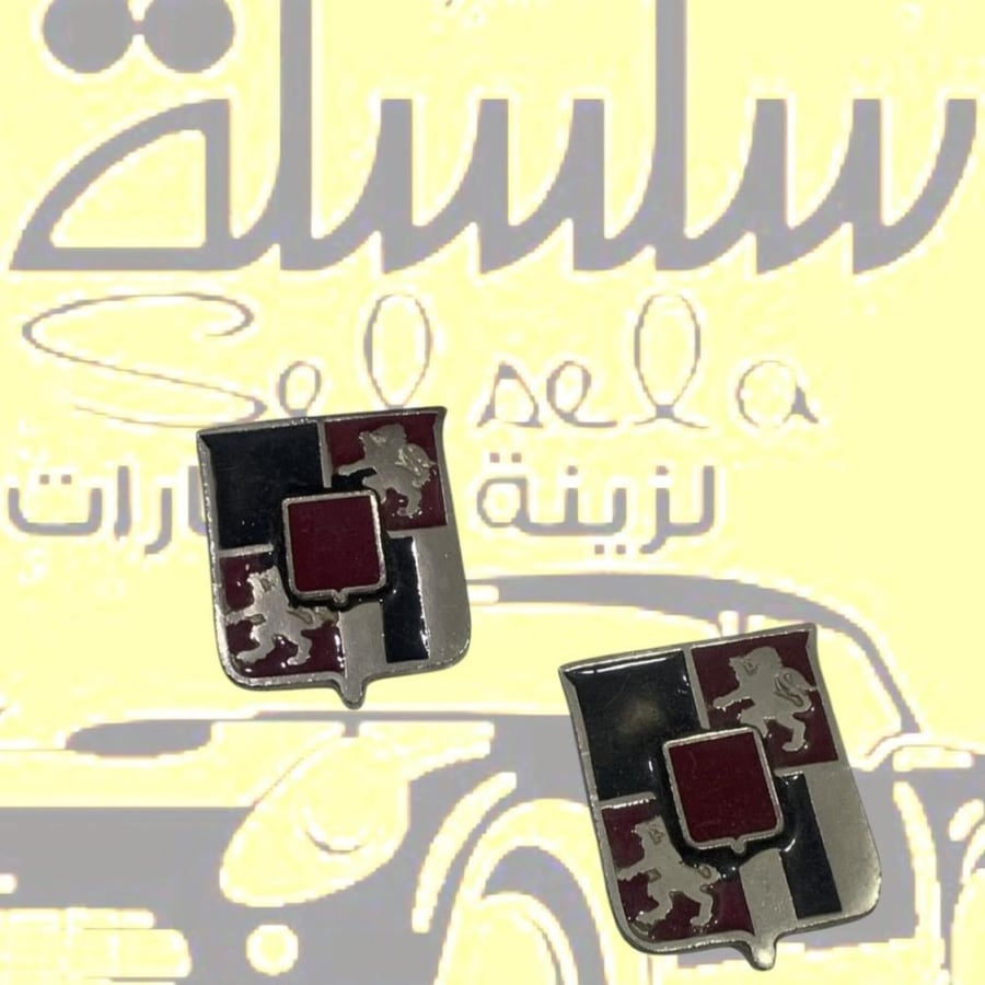 علامه قطعتين