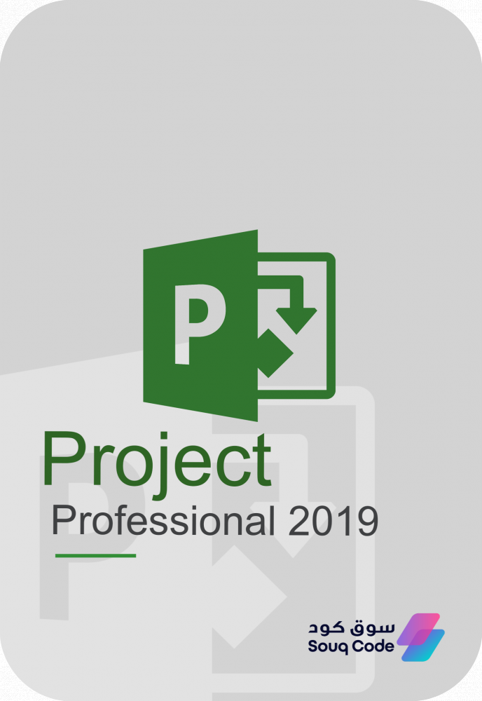 بروجكت برو 2019 | Project Pro 2019