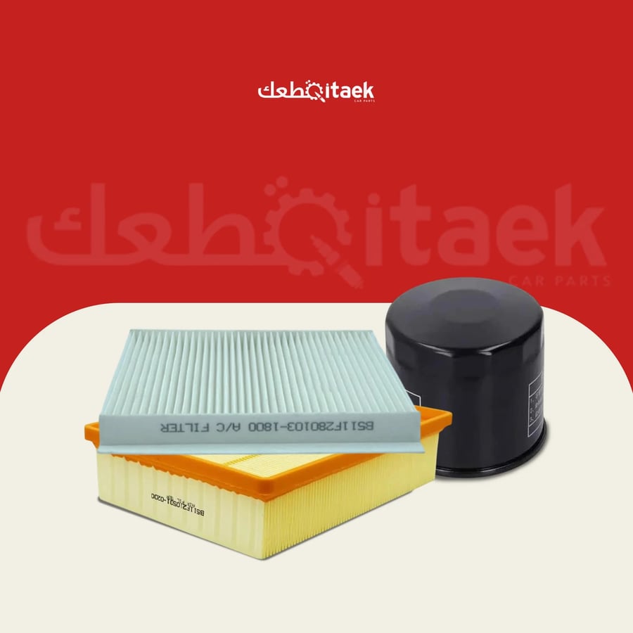 فلاتر شانجان Alsvin