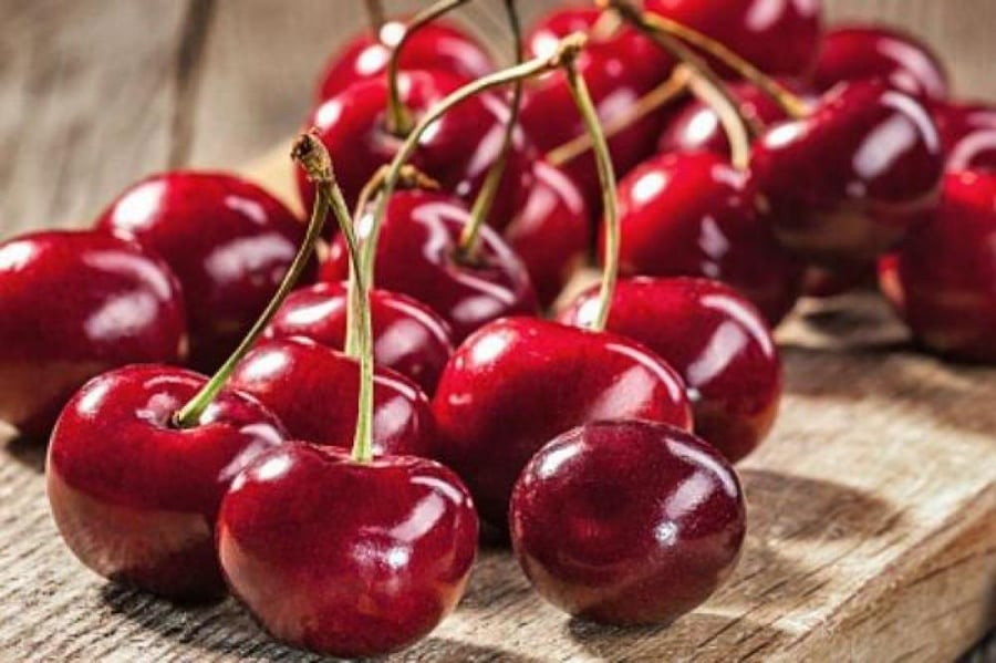 Red cherry seedlings from Sham, about 120-150 cm