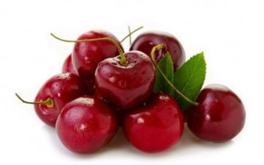 Red cherry seedlings from Sham, about 120-150 cm