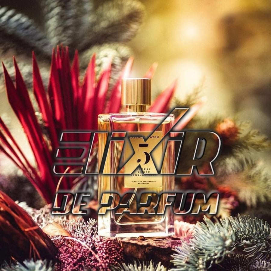 بديل عطر روسيندو ماتيو نمبر فايف Rosendo Mateu Nº 5 Floral Amber Sensu
