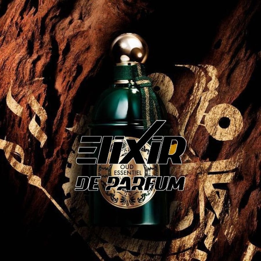 بديل عطر ليه أبسولو دوغيان أود إيسانسيال جيرلان Les Absolus dOrient Ou