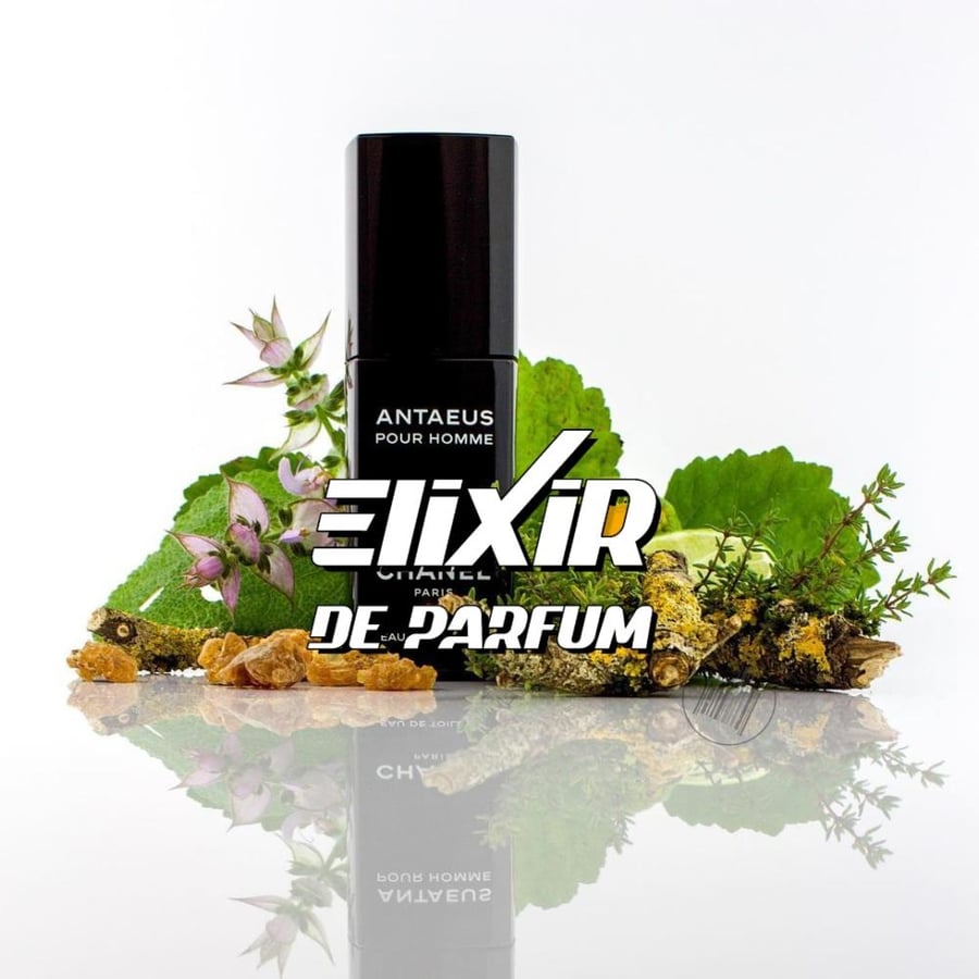 بديل أنتيوس شانيل Antaeus Chanel Alternative
