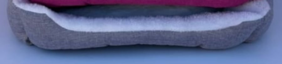A brush for cats and dogs, different colors