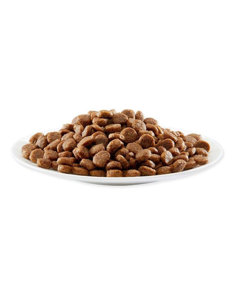 Dry food for cats chicken, salmon 7.5 kg
