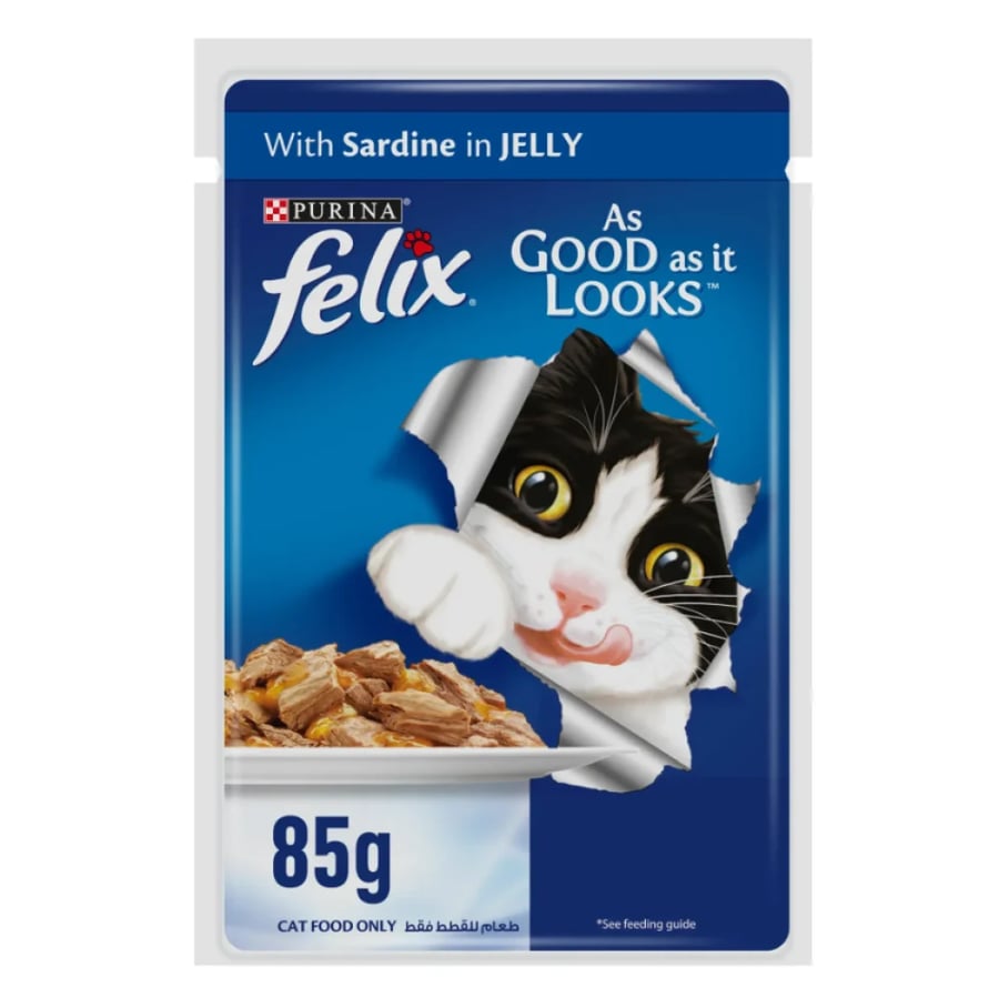 طعام رطب للقطط