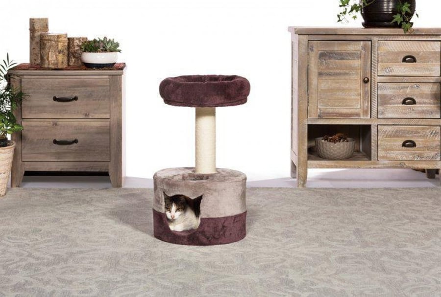 Godash review with house and bed for cats