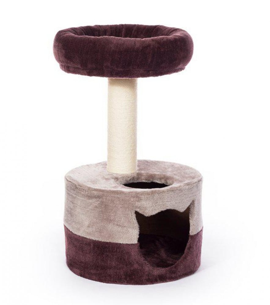 Godash review with house and bed for cats