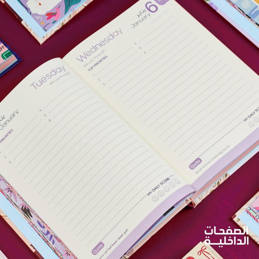 بوكس أجندة – سنة من الفن