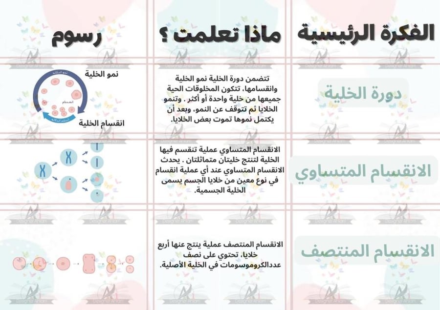 مطوية انقسام الخلايا مادة ( العلوم ) سادس ابتدائي