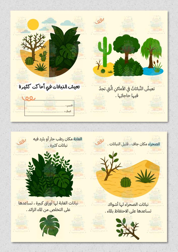 مطوية تعيش النباتات في اماكن كثيرة ( علوم ) صف اول ابتدائي